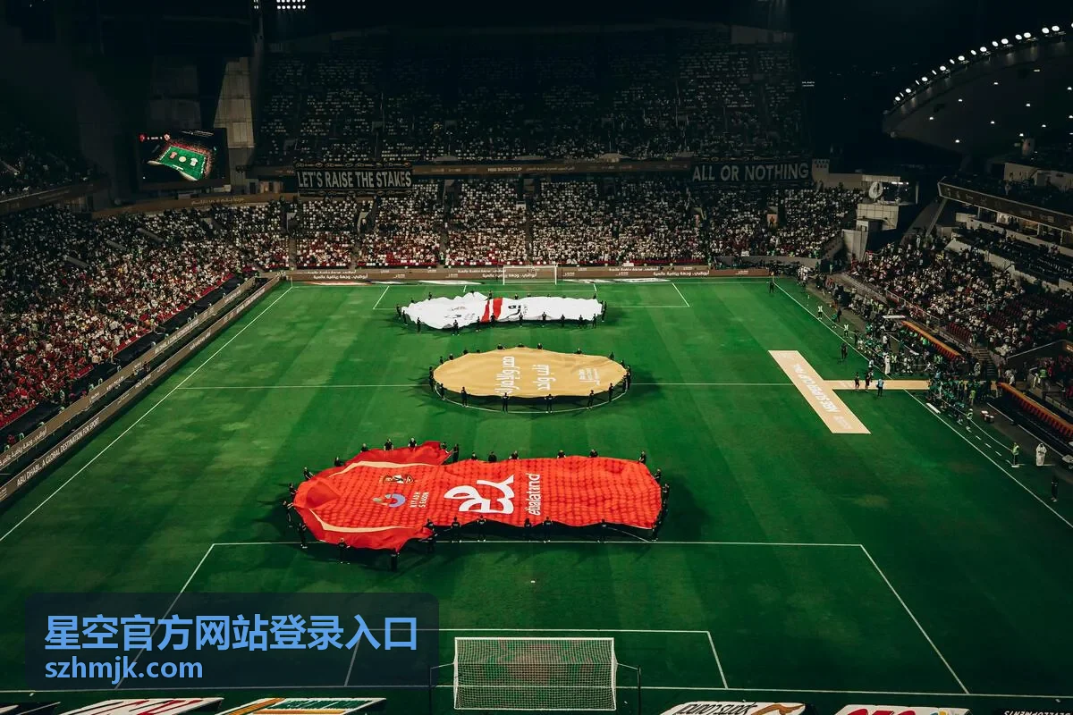 星空官方网站登录入口验证码与身份校验说明