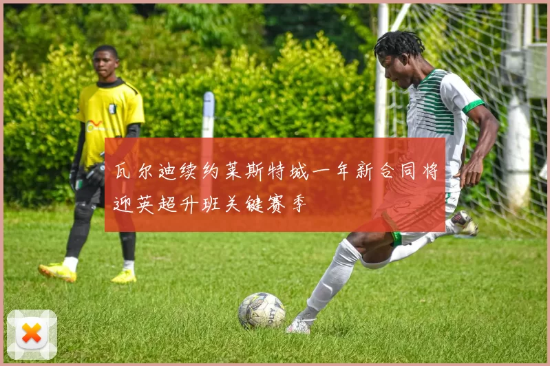 瓦尔迪续约莱斯特城一年新合同将迎英超升班关键赛季