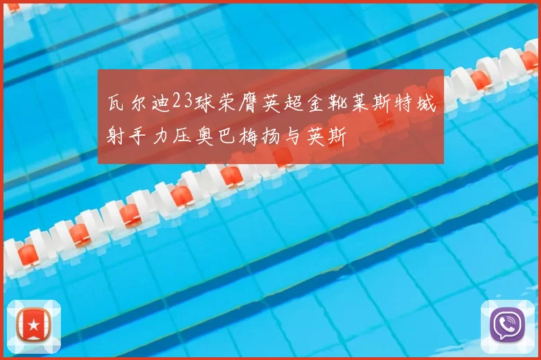 瓦尔迪23球荣膺英超金靴莱斯特城射手力压奥巴梅扬与英斯