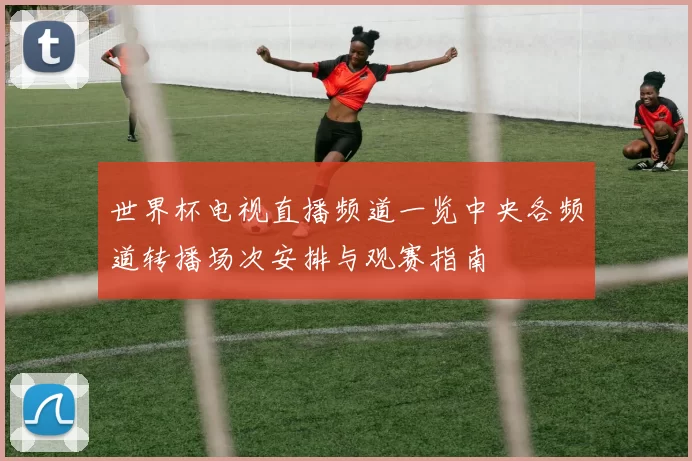 世界杯电视直播频道一览中央各频道转播场次安排与观赛指南