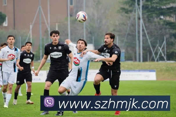 战术演练